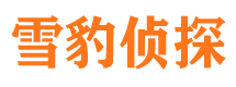 夷陵外遇出轨调查取证